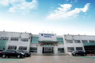 更節(jié)能更高效 輝門青島活塞工廠增加投資