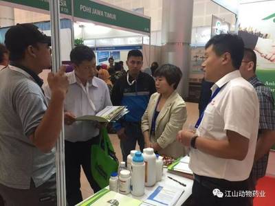 印度尼西亞國際貿易博覽會,江山集團滿載而歸!