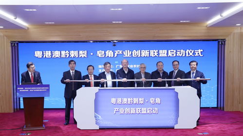 刺梨免疫調節(jié) 解酒護肝 護眼功效研究取得新成果 廣藥集團牽頭成立粵港澳黔刺梨 皂角產業(yè)創(chuàng)新聯(lián)盟