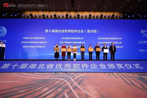 湖北軟件行業營收規模超2553億元，穩占中部半壁江山