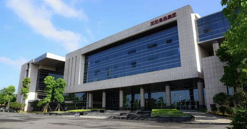 醬油第一股逆風(fēng)翻盤，加加食品與江山集團(tuán)的戰(zhàn)略突圍