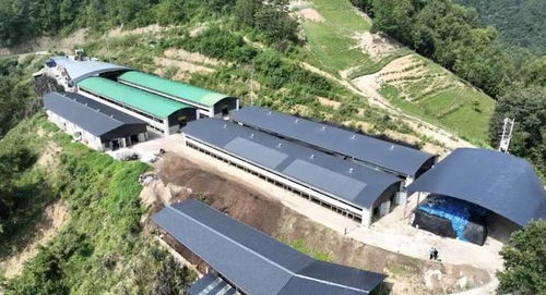 2024年安康畜牧漁業(yè)產(chǎn)業(yè)發(fā)展規(guī)劃與展望 聚焦飼料核心，驅(qū)動(dòng)產(chǎn)業(yè)升級
