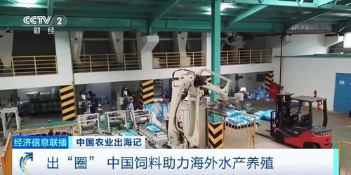 油菜籽扎根巴基斯坦，飼料游進(jìn)越南蝦塘 中國農(nóng)業(yè)這樣出海