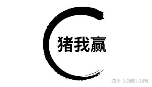 豬我贏飼料模式 高效養(yǎng)殖，助力畜牧業(yè)高質(zhì)量發(fā)展